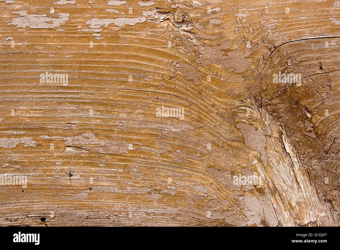 Texture bois avec peinture la couleur est arrachée. Peinture écaillée - texture de fond en bois. Banque D'Images