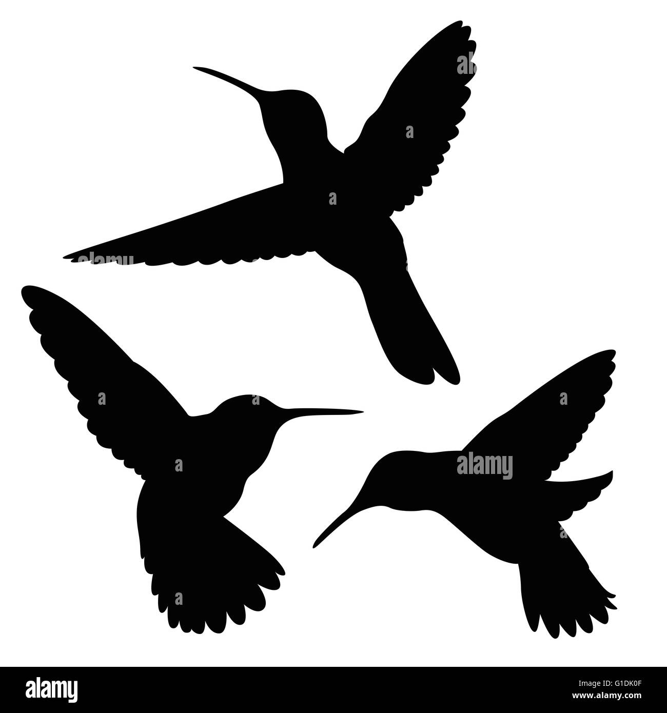 Ensemble silhouette hummingbird Banque D'Images