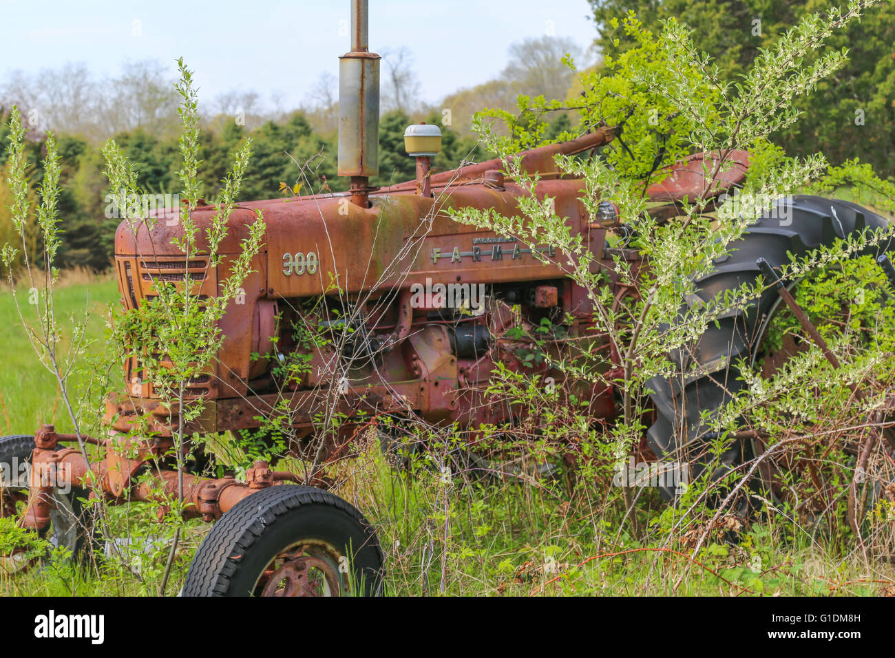 Vieux tracteur agricole rouge assis dans un champ envahi par la Banque D'Images