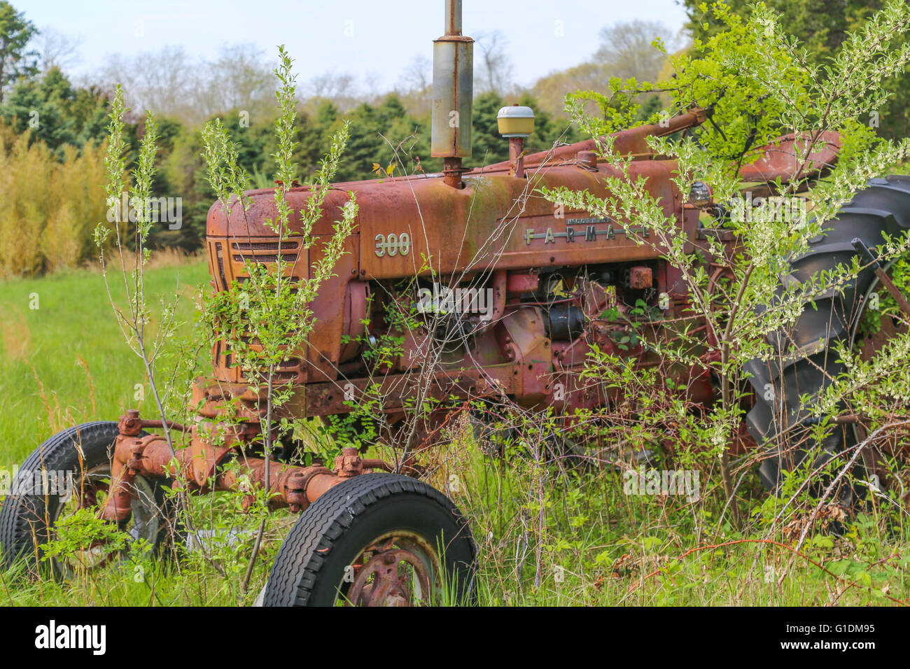 Vieux tracteur agricole rouge assis dans un champ envahi par la Banque D'Images