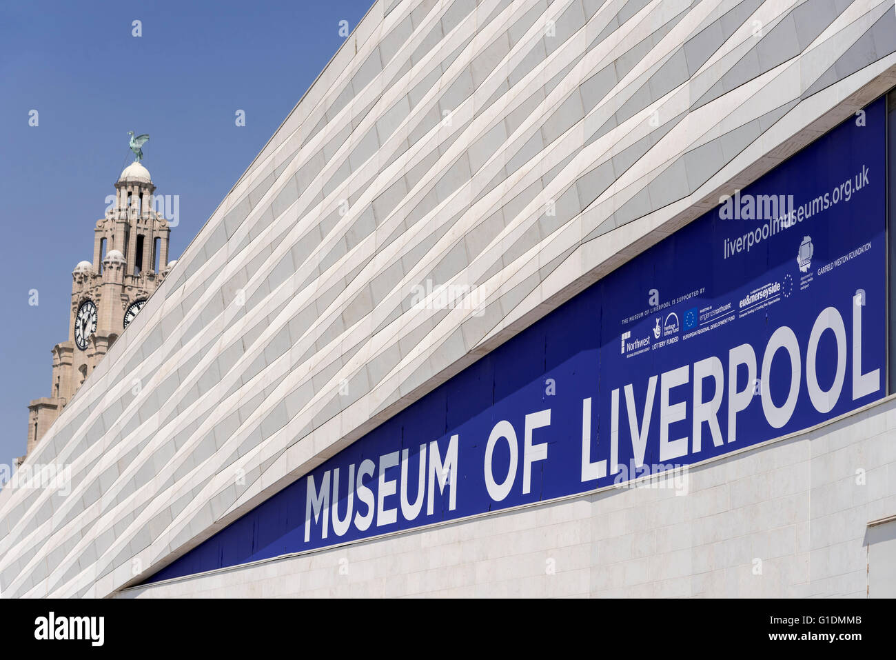 Le Musée de Liverpool. détail. Le Liver Building et le foie derrière d'oiseaux. Banque D'Images