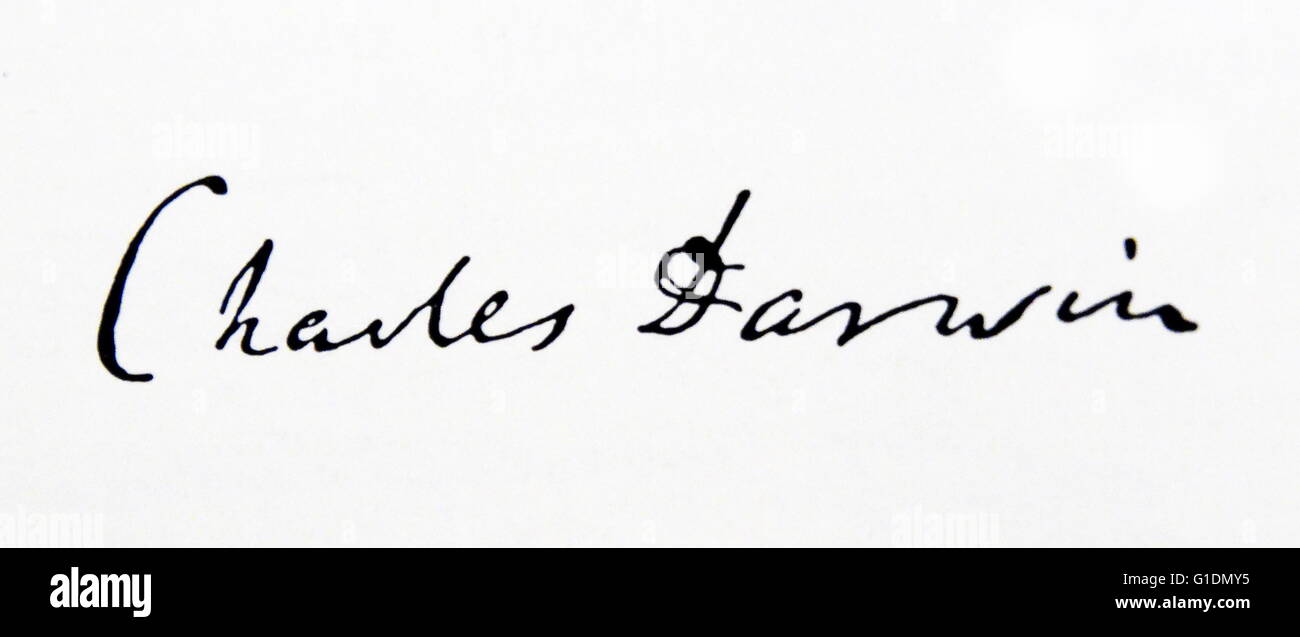La signature de Charles Darwin (1809-1882) naturaliste et géologue anglais. En date du 19e siècle Banque D'Images
