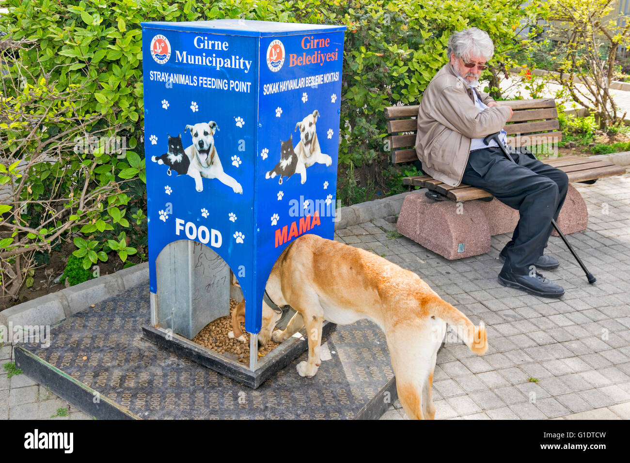 Chypre du Nord KYRENIA CHIEN BLEU ALIMENTATION À PARTIR DE L'ALIMENTATION ET POINT D'EAU DANS LA PLACE PRINCIPALE Banque D'Images