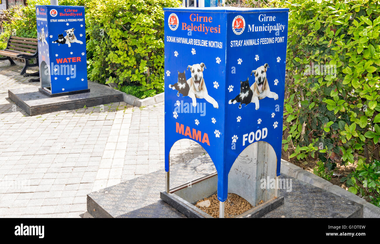 Chypre du Nord KYRENIA LA NOURRITURE ET DE L'EAU POINTS D'ALIMENTATION POUR CHIENS ET CHATS SUR LA PLACE PRINCIPALE Banque D'Images