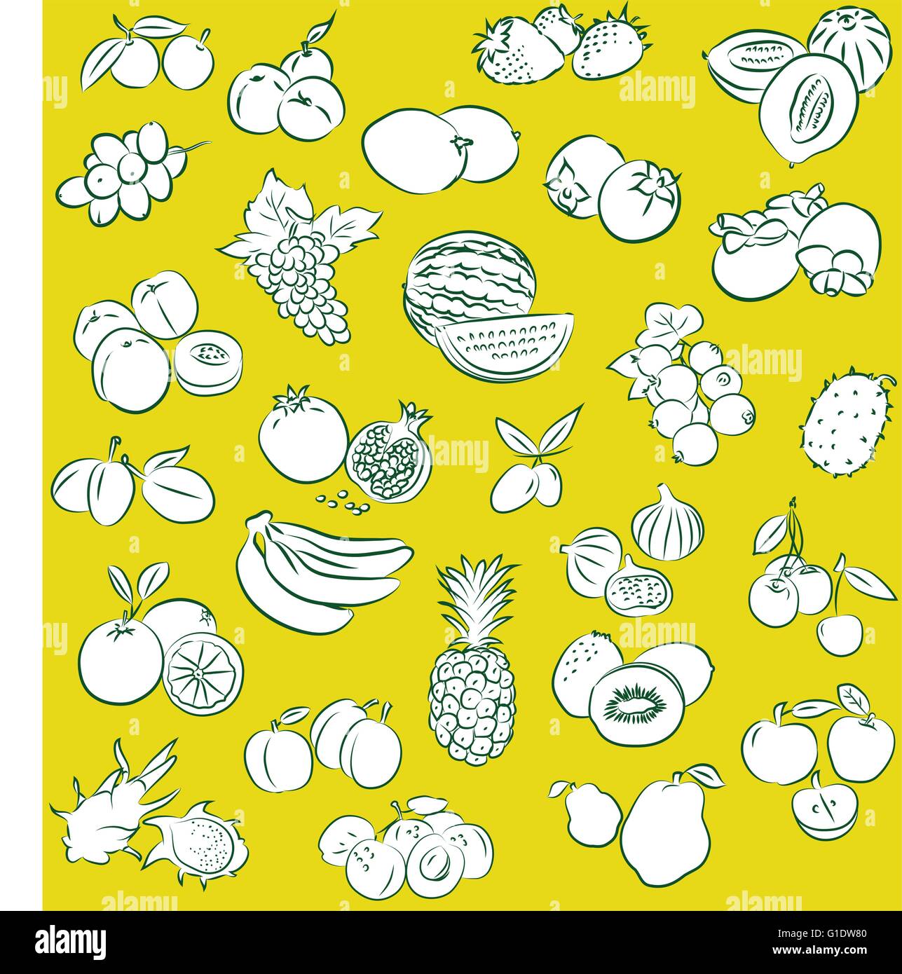 Modèle vectoriel d'une collection de fruits Illustration de Vecteur