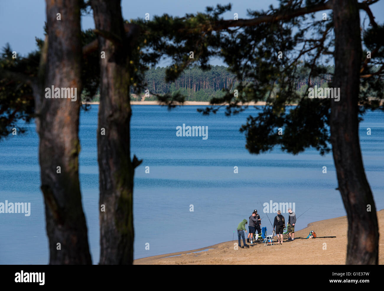 Les pêcheurs jusqu'à l'ensemble des banques themeselves de Helensee près de Francfort/Oder, Allemagne, 13 mai 2015. La qualité de l'eau de tous les 251 lacs de baignade est excellente selon le ministère de l'consommateurs de Brandebourg. Halenesee, l'un des plus populaires des lacs de Brandebourg a été créé par les mines à ciel ouvert entre 1930 et 1959. Photo : Patrick Pleul/dpa Banque D'Images