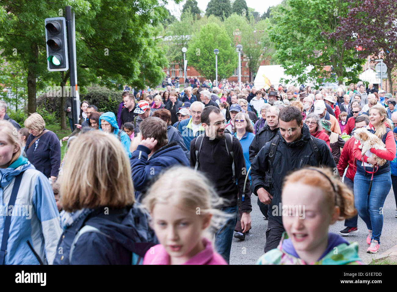 Centre ville,et vendredi soir 13 mai 2016. (Jour 1) La 37e Semaine internationale de Waendel à pied a commencé ce soir au Théâtre du Château, Wellingborough avec deux horizons amitié 5 et 10 km avec 800 marcheurs  + Crédit : participants Keith J Smith./Alamy Live News Banque D'Images