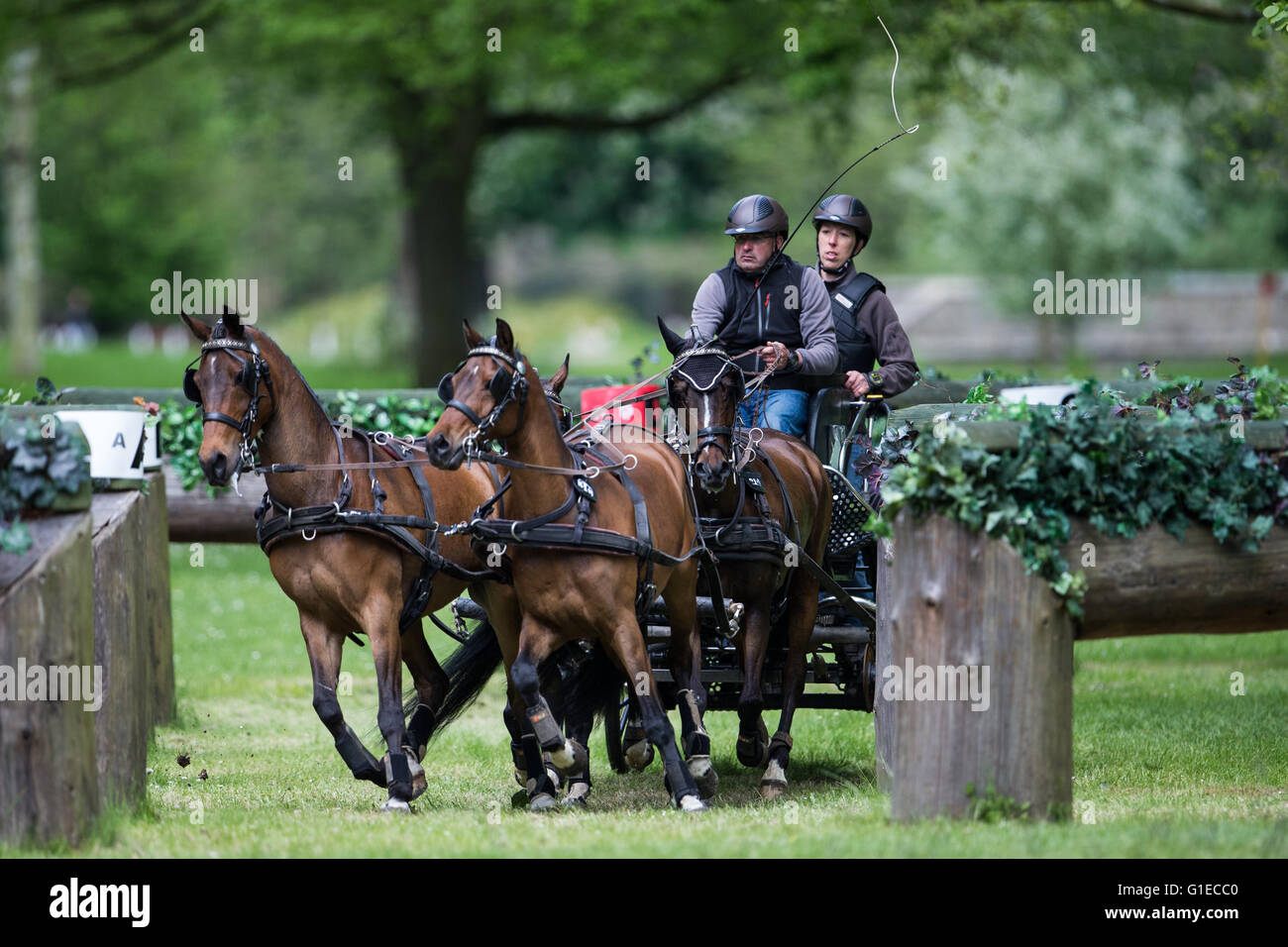 Grand parc de Windsor, Windsor, Royaume-Uni. 14 mai, 2016. Royal Windsor Horse Show. Bart dans l'Verdroncken Land Rover International Grand Prix Conduite marathon. Credit : Action Plus Sport/Alamy Live News Banque D'Images