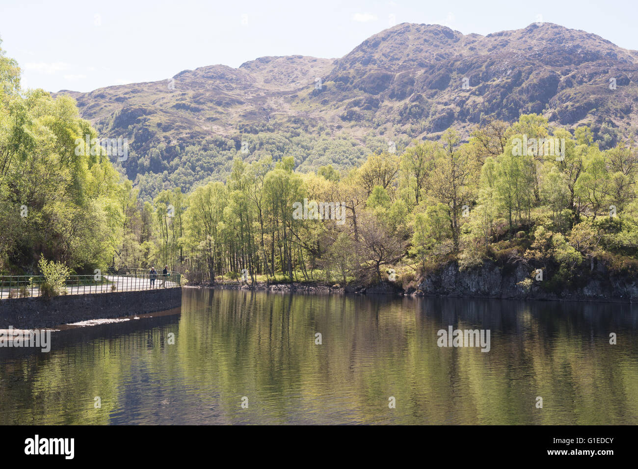 Loch Katrine, Stirlingshire, Scotland, UK - 14 mai 2016 : un couple bénéficiant d'une belle journée de printemps chaud et ensoleillé au Loch Katrine. Les 11 km de long loch d'eau douce est une destination touristique populaire et journée de voyage et de destination est également le principal réservoir d'eau pour une grande partie de la ville de Glasgow et les alentours. La Route Nationale 7 pour les cyclistes passe par l'utilisation de la chaussée Loch Katrine vu dans la gauche de la photo Credit : Kay Roxby/Alamy Live News Banque D'Images