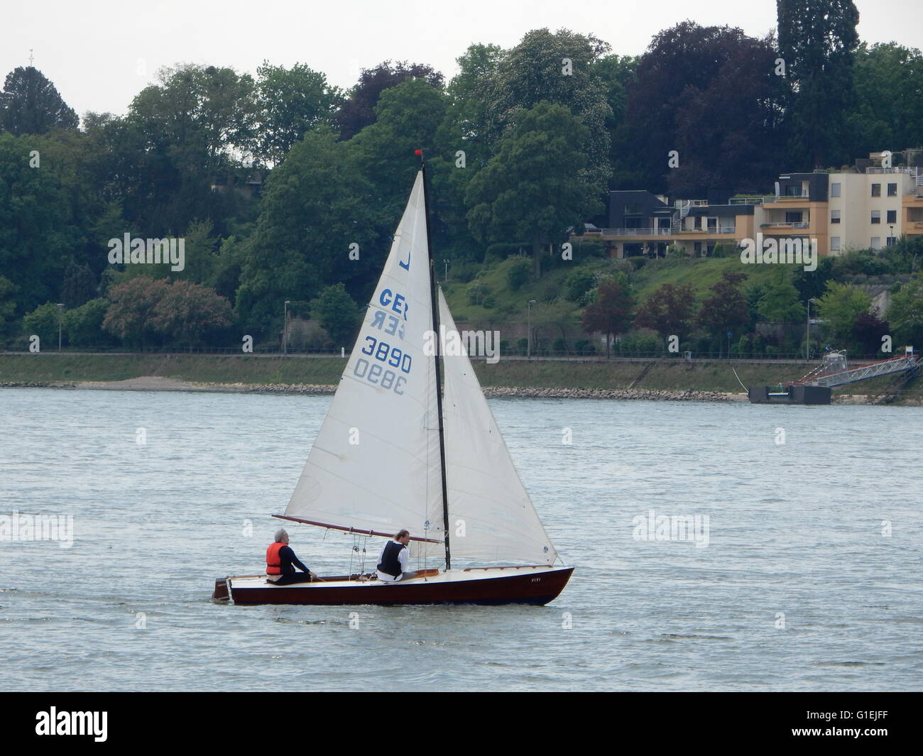 Voilier sur le Rhin, dans le Rhin, l'Allemagne Banque D'Images