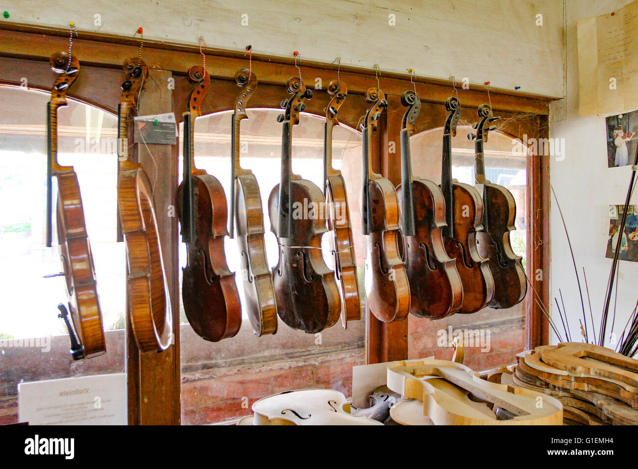 Atelier de violon, à l'Jinney Ring Hanbury. Droitwich, Worcestershire. Violons fait main et Viola à différents stades. Idéal Banque D'Images