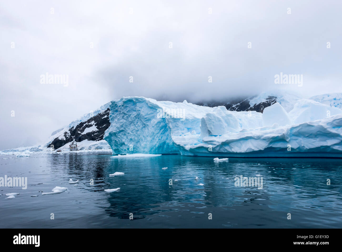 La glace flottante Neko Harbour Péninsule Antarctique Antarctique Banque D'Images