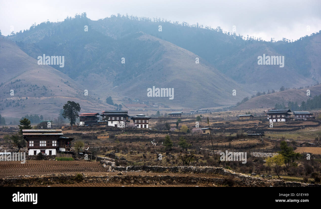 Maisons de ferme de la vallée de Phobjikha Bhoutan Banque D'Images