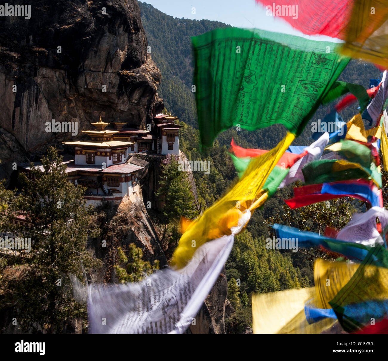 Avis de Taktsang ou Tiger le nid du monastère et les drapeaux de prières vallée de Paro Bhoutan Banque D'Images