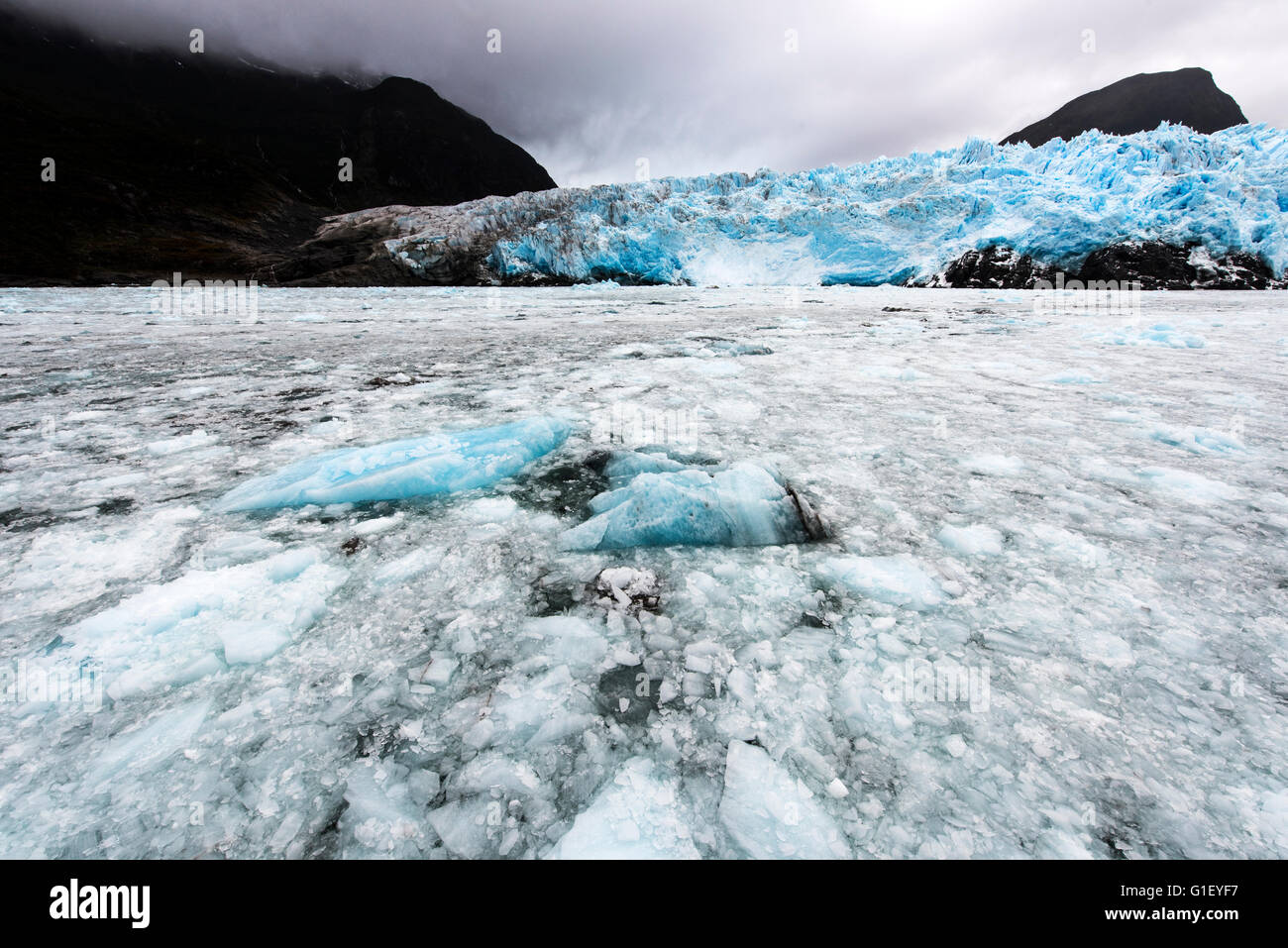 Glacier Amalia Glacier Skua ou du Parc National Bernardo O'Higgins au Chili Patagonie Banque D'Images