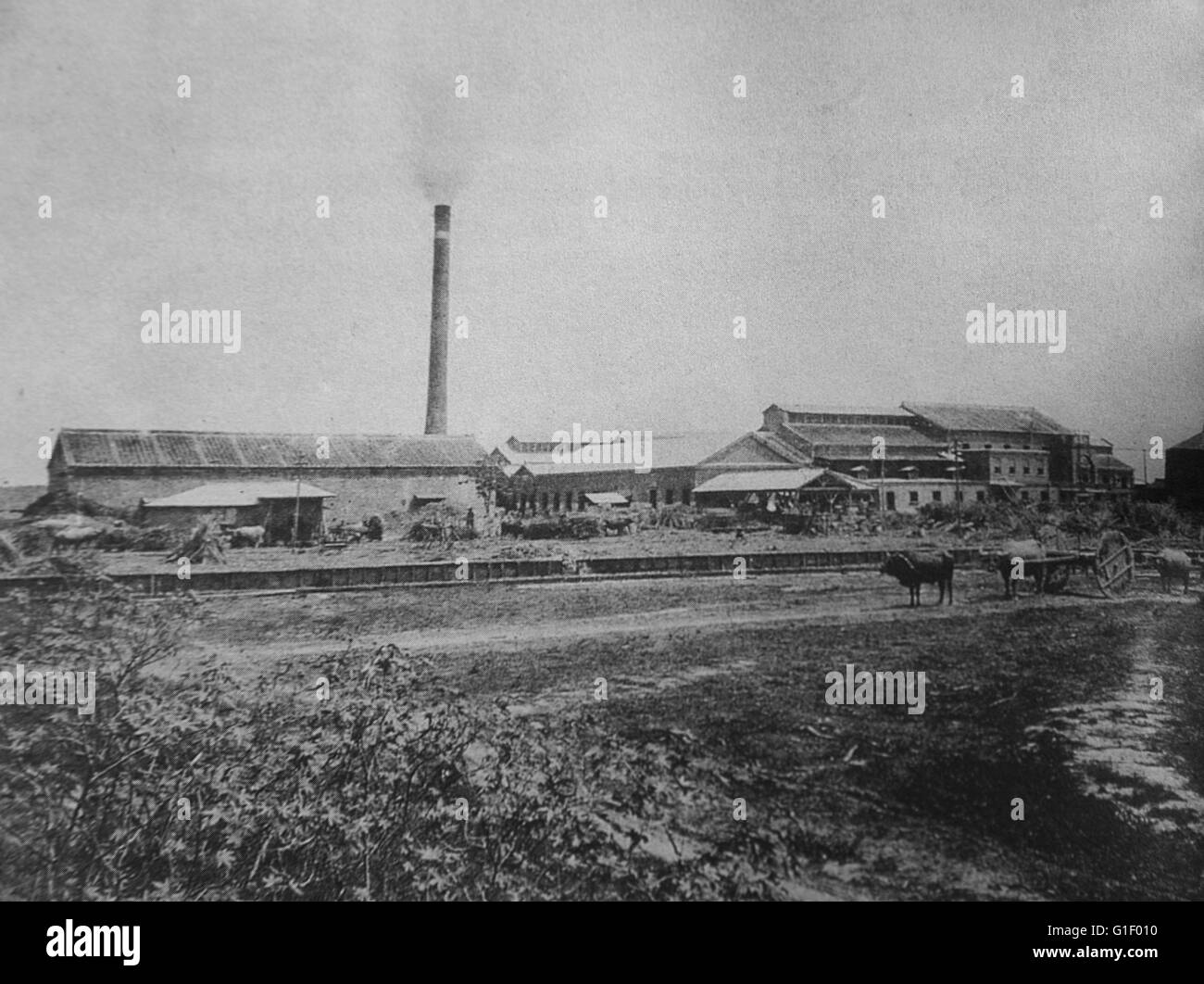 Modernisation de Taiwan sous la domination japonaise. C 1915 Usine de sucre. Banque D'Images