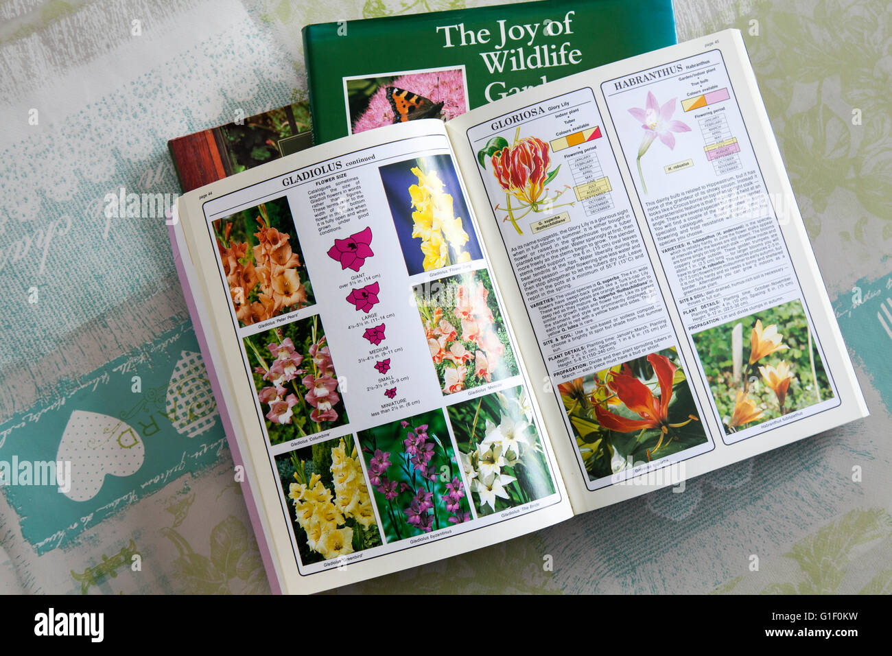 Livres de référence ouverts sur les fleurs de jardinage; illustrations utilisées pour l'identification des plantes et des fleurs, Lancashire, Royaume-Uni Banque D'Images
