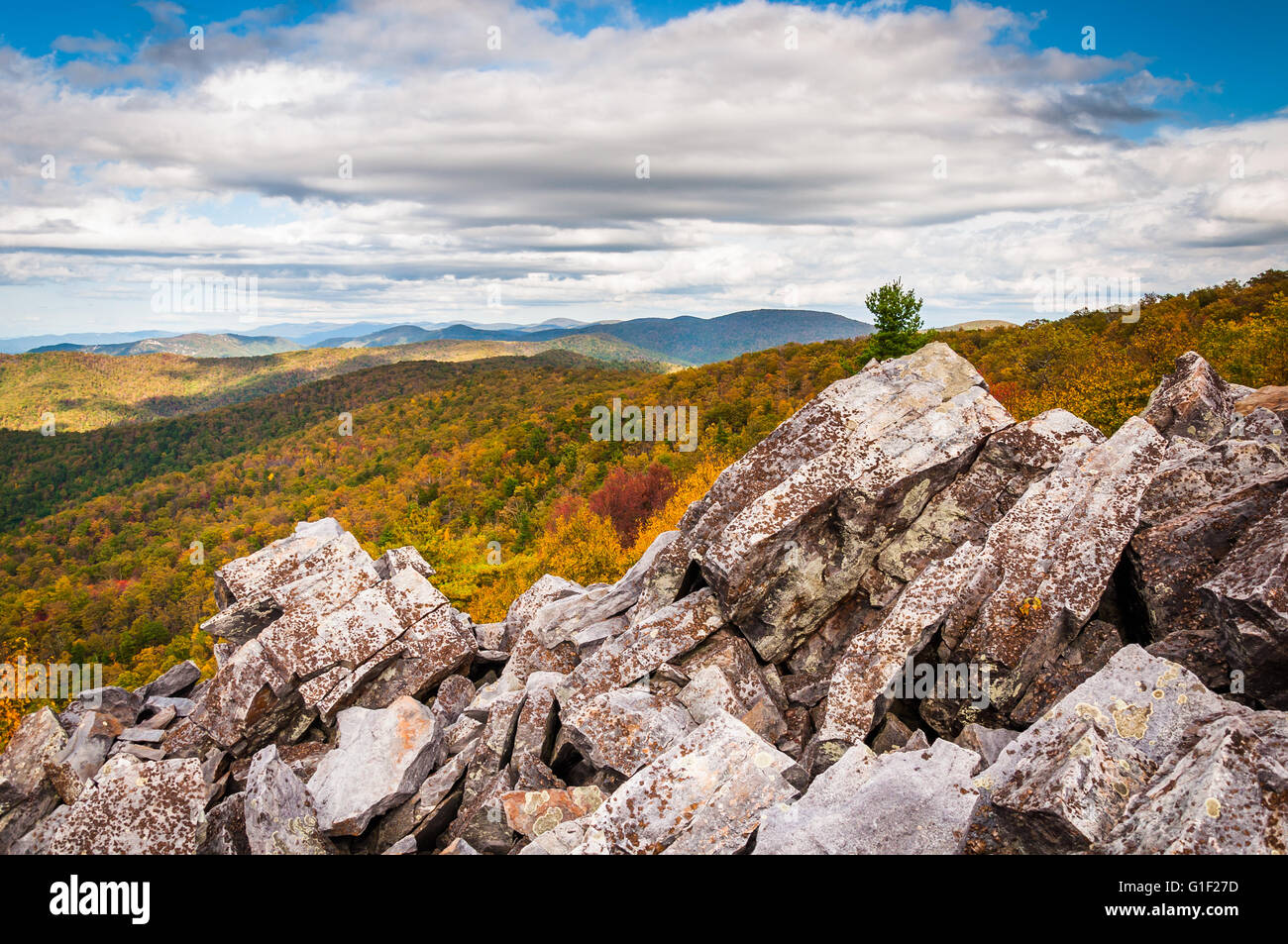 Voir l'automne de la Blue Ridge Mountains de la boulder-sommet couvert de Blackrock, dans le Parc National Shenandoah, en Virginie. Banque D'Images