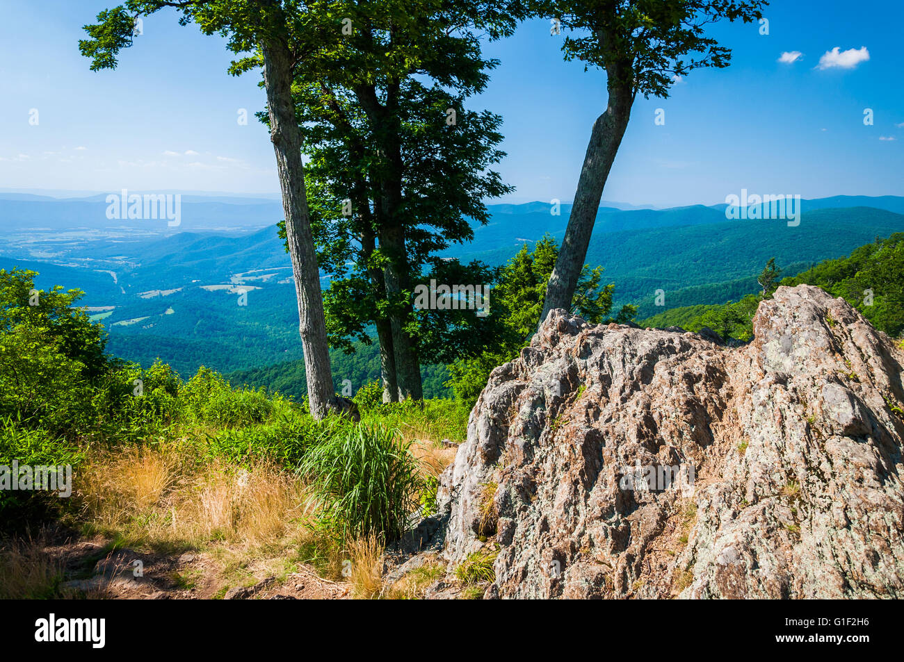 Vue sur le Blue Ridge et Shenandoah Valley derrière des rochers et arbres au creux Jewell, oublier sur Skyline Drive dans Shenandoah Na Banque D'Images