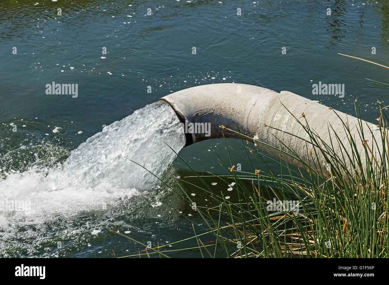 Pompage des eaux souterraines à partir d'un tuyau dans un canal d'irrigation en Californie Banque D'Images