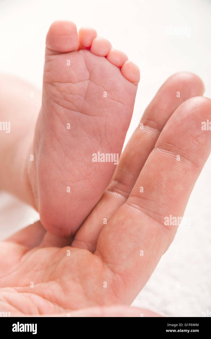 Parution du modèle. Parent holding newborn baby's foot. Banque D'Images