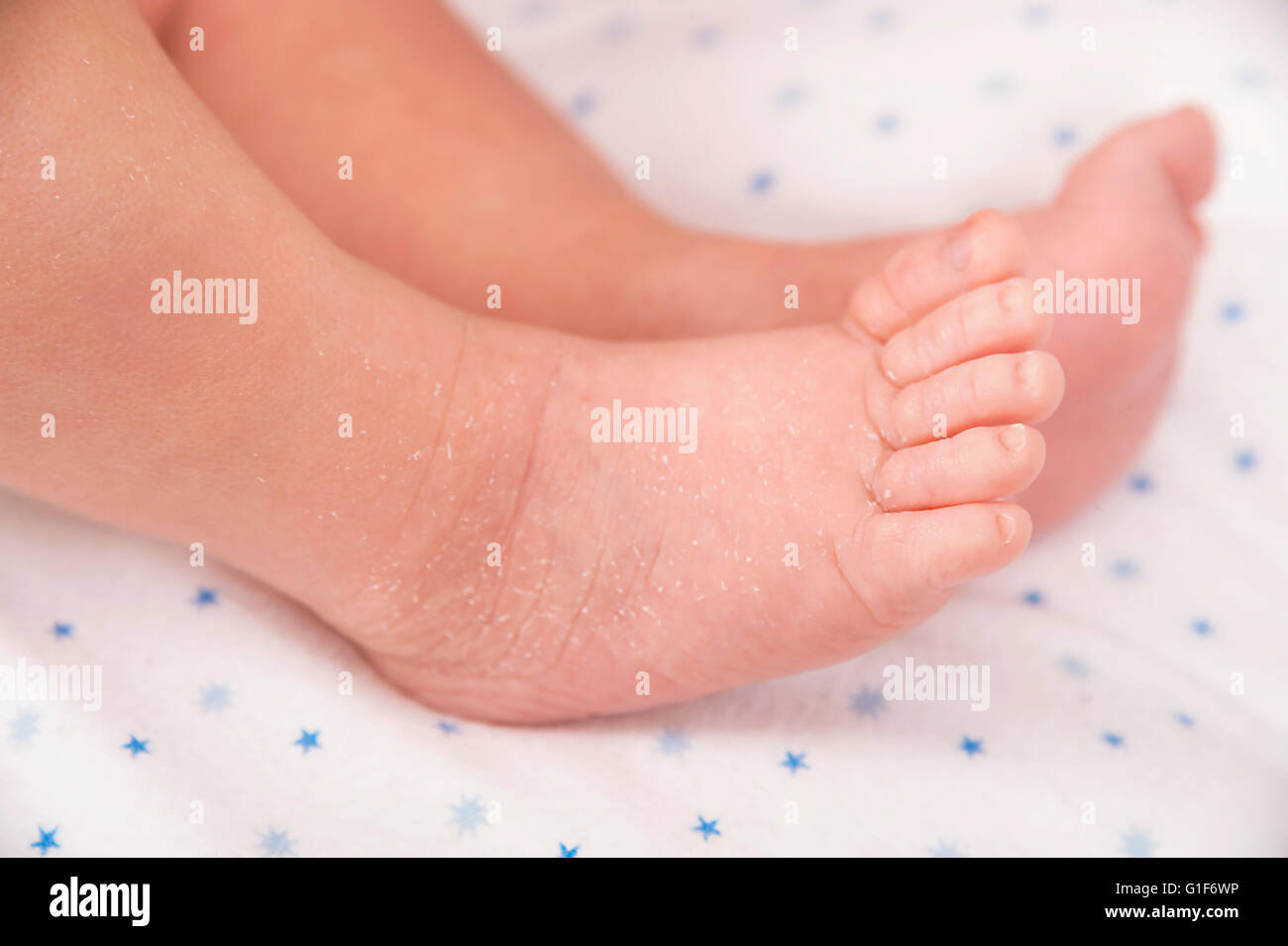 Parution du modèle. Les pieds de bébé nouveau-né. Banque D'Images