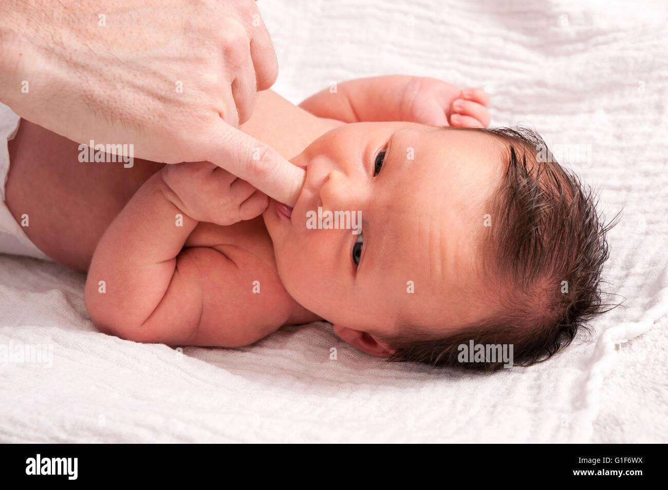 Parution du modèle. Bébé nouveau-né à sucer son doigt du parent. Banque D'Images