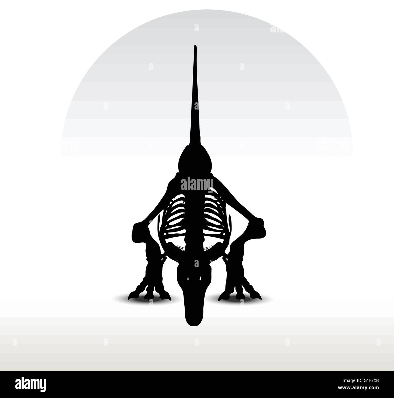 Image vectorielle - dinosaures trex squelette isolé sur fond blanc Illustration de Vecteur