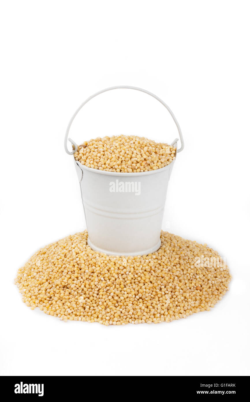 Blanc seau plein de mil, se dresse sur un tas de mil, sur un fond blanc Banque D'Images