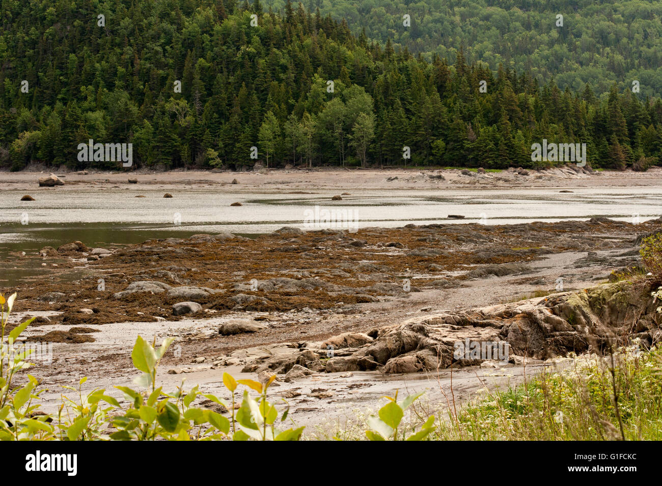 Fleuve Saint-Laurent. Banque D'Images