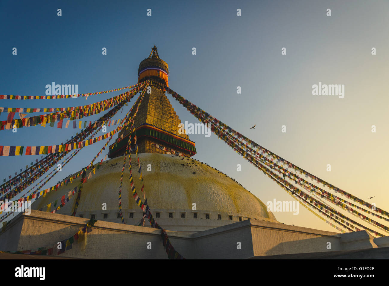 Stupa Boudhanath avec des centaines de pigeons et les drapeaux de prières à Katmandou, Népal Banque D'Images