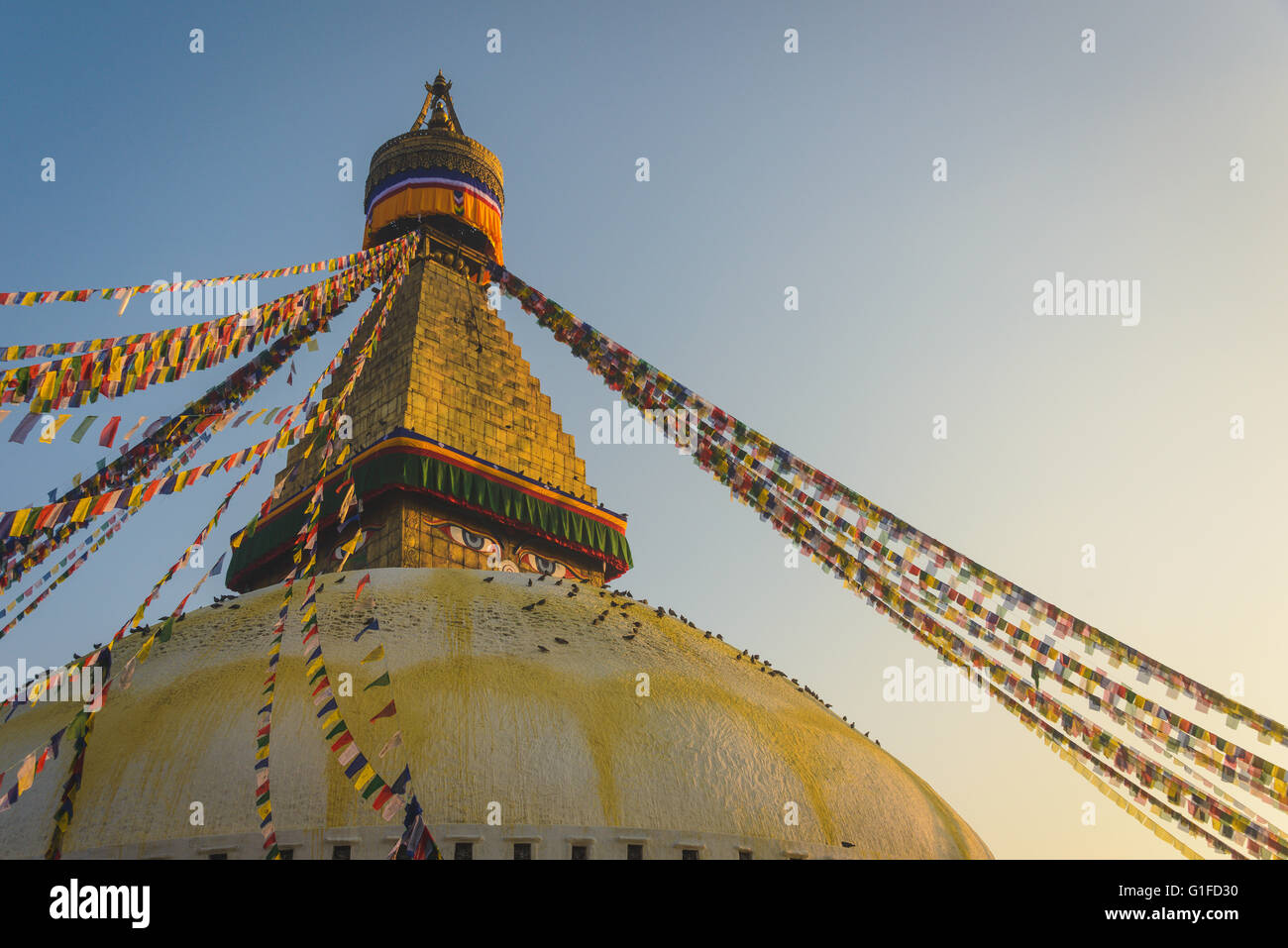 Stupa Boudhanath avec des centaines de pigeons et les drapeaux de prières à Katmandou, Népal Banque D'Images