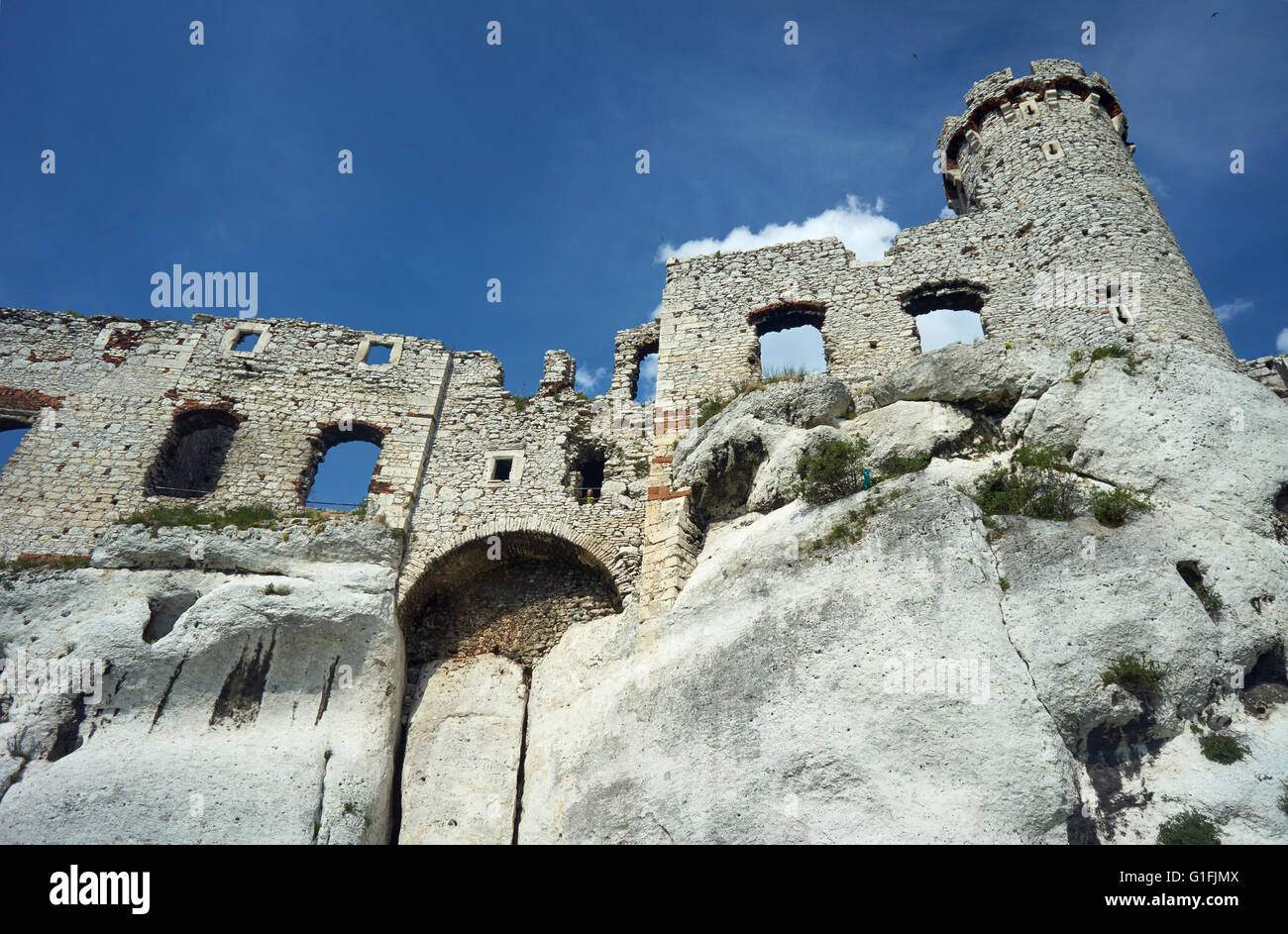 Tour du château en ruine dans la région de Ogrodzieniec Banque D'Images