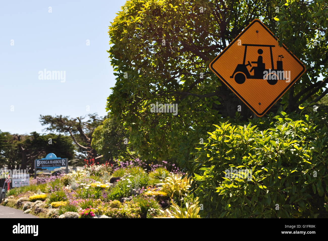 Californie, USA : un signe indiquant la présence de la caddy sur le cours de golf à Bodega Bay Banque D'Images