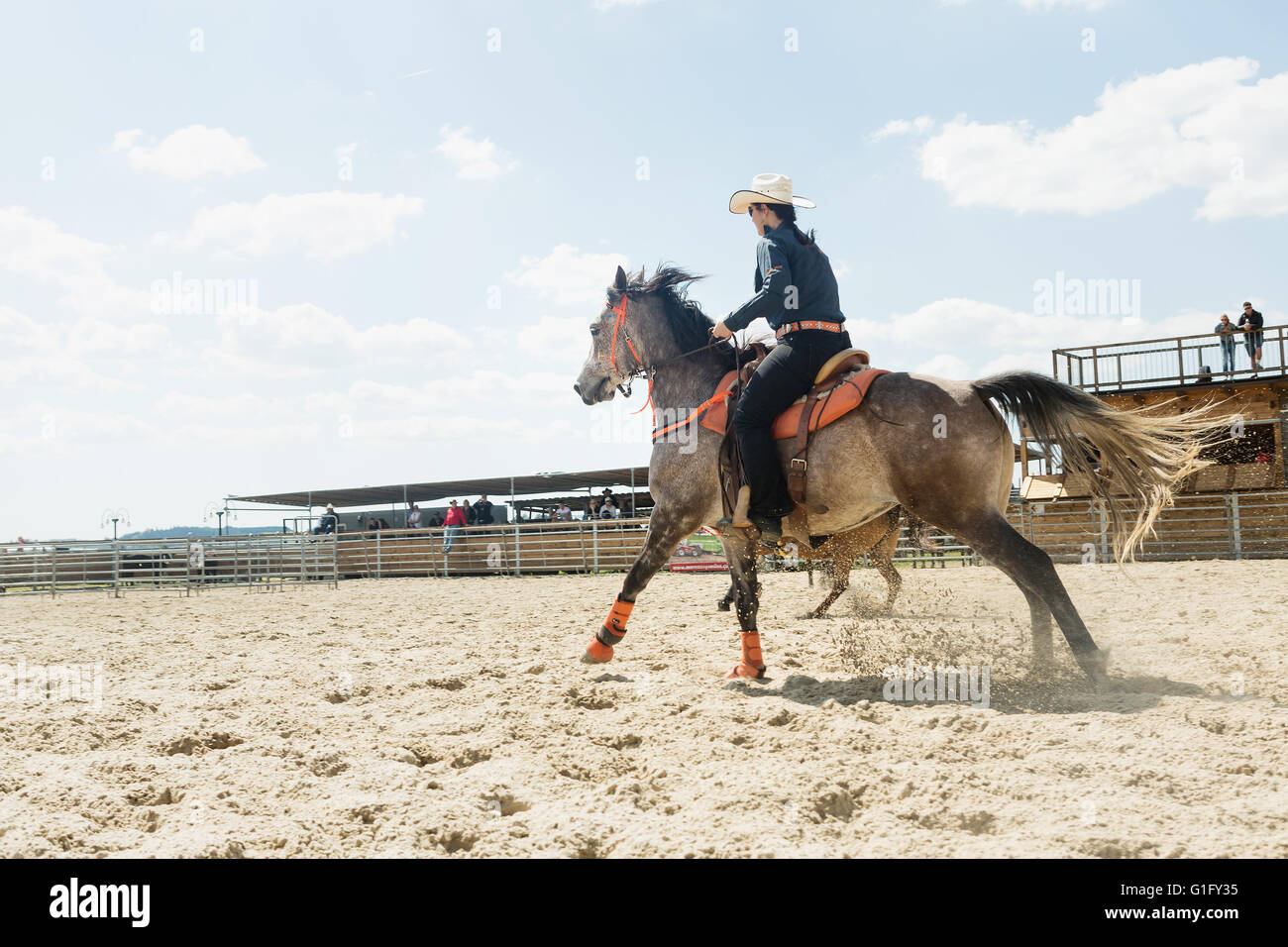 Jeune cowgirl avec chapeau équitation une belle peinture de cheval de course de barils événement à un rodéo dans Mitrov, République Tchèque Banque D'Images