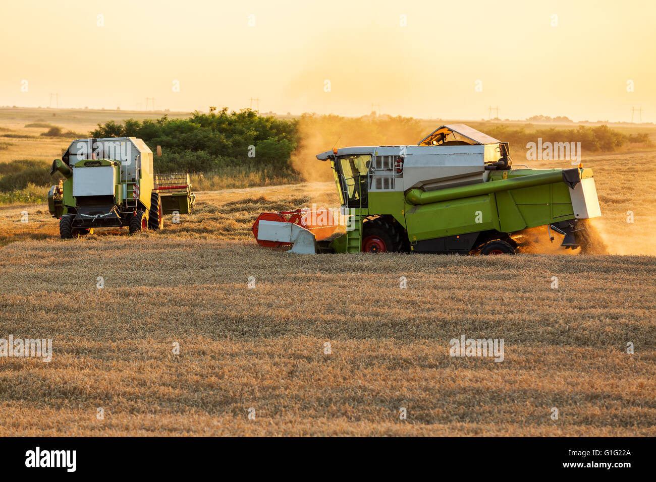 Moissonneuses-batteuses d'action sur le champ de blé le coucher du soleil Banque D'Images