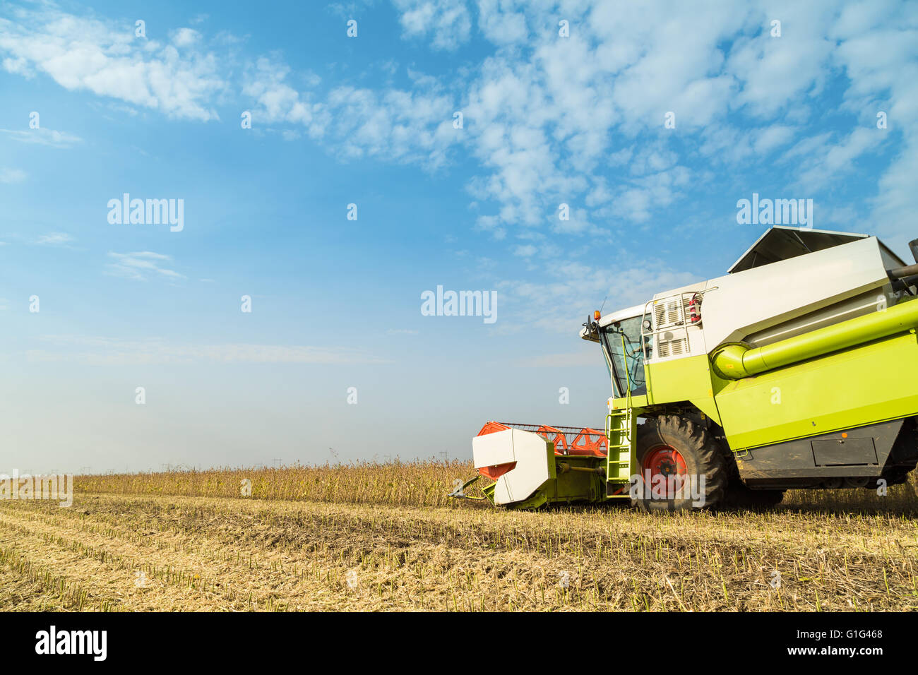 La récolte à la moissonneuse-batteuse au champ de soja Banque D'Images