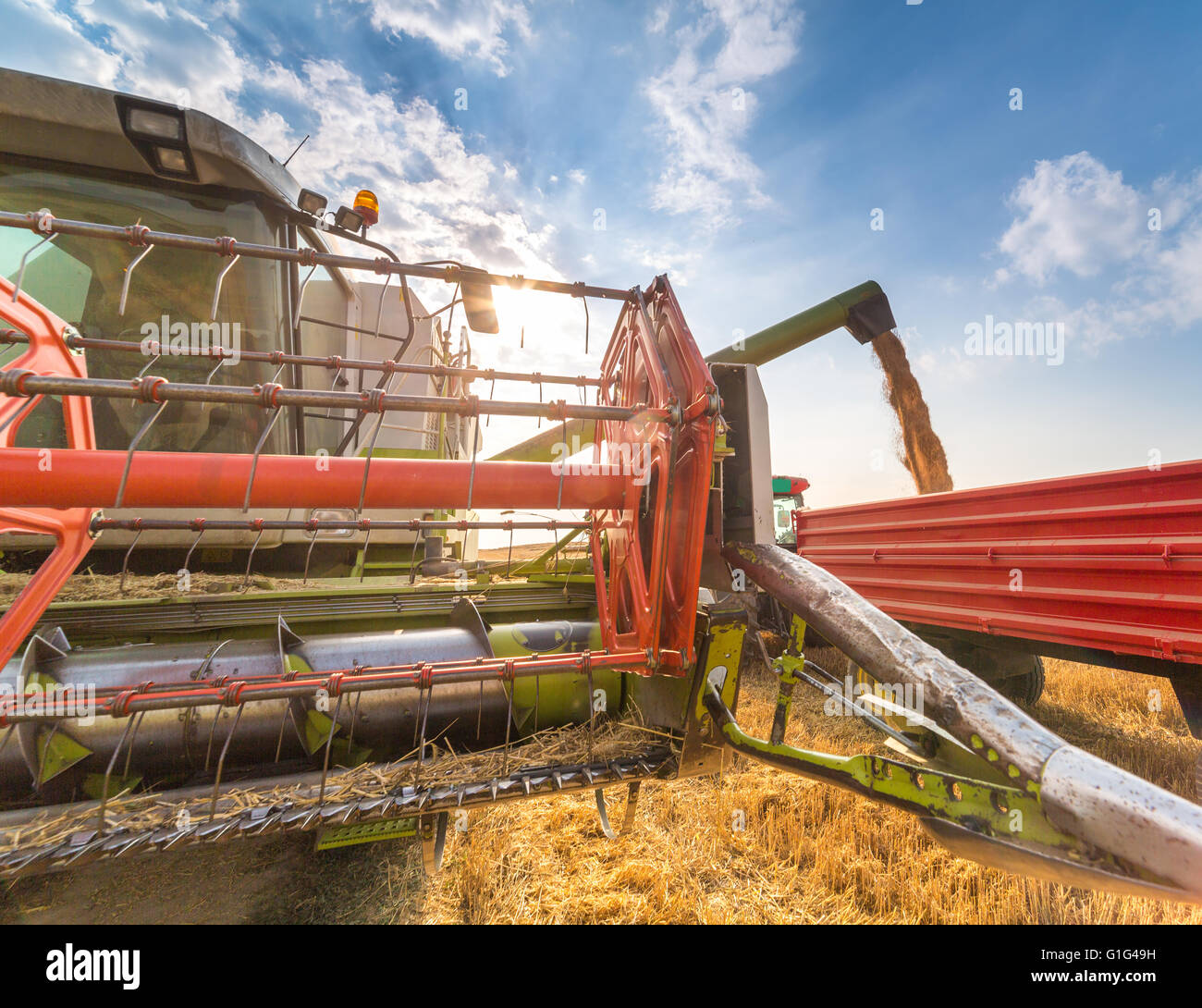 Moissonneuse batteuse en action sur le champ de blé Banque D'Images