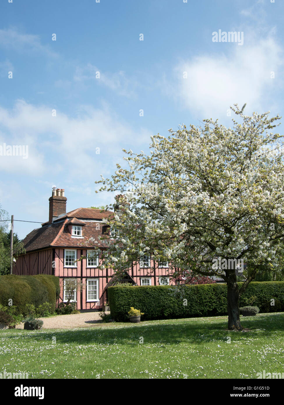 Le petit village de Bradfield, Suffolk, Angleterre. Banque D'Images
