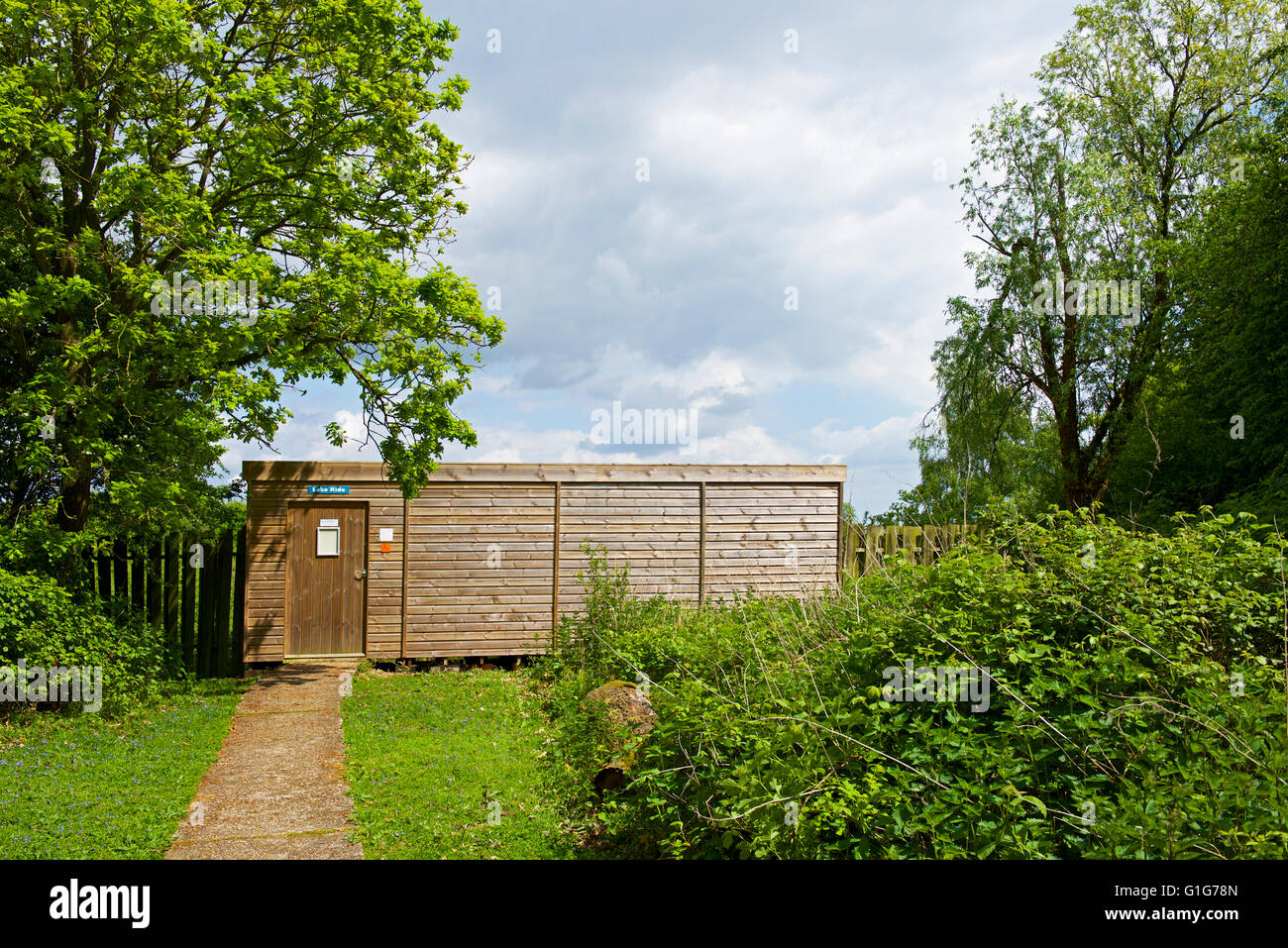Masquer l'observation Fingringhoe Wick, une réserve naturelle de fiducie de la faune d'Essex, Essex, Angleterre Royaume-uni Banque D'Images