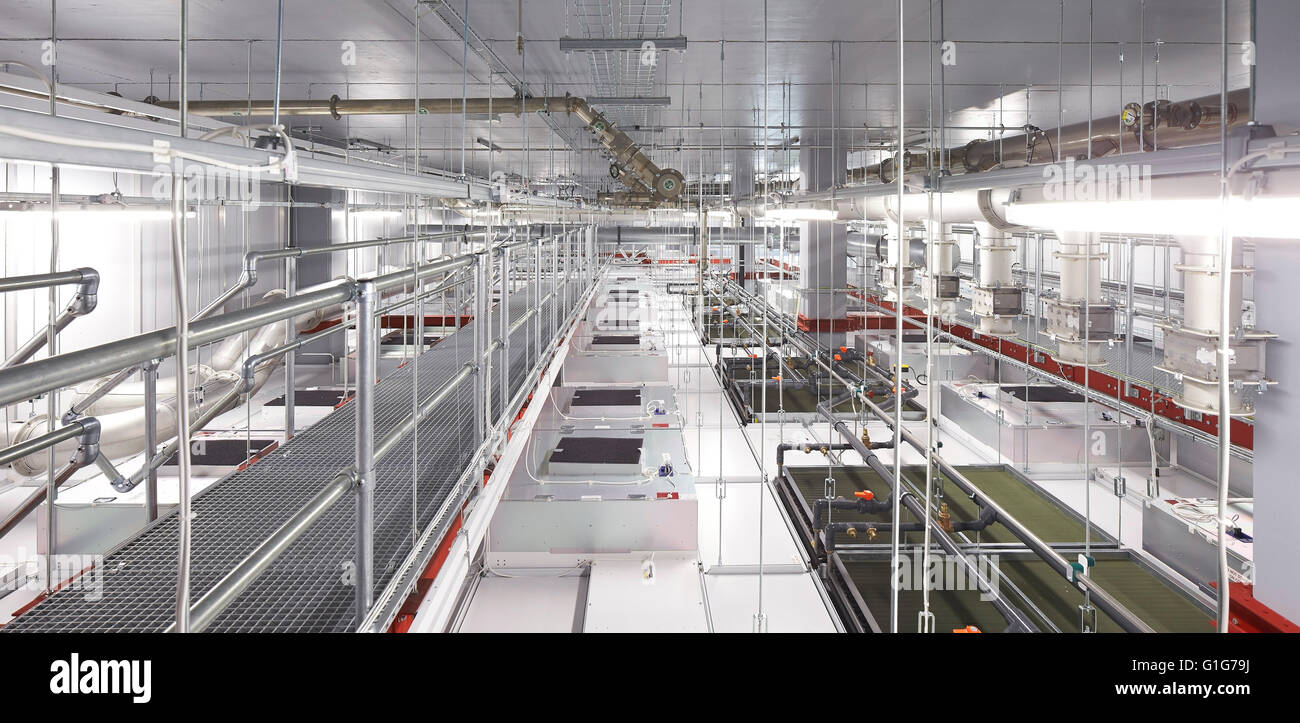 Sous-sol salle blanche avec bras. Le graphène Institute, University of Manchester, Manchester, Royaume-Uni. Architecte : Jestico  + Whiles, 2015. Banque D'Images
