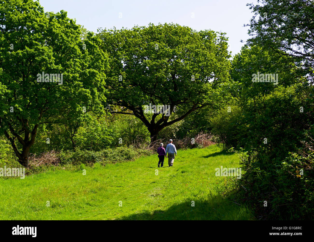 Deux personnes marchant sur le chemin à travers Fingringhoe Wick, une réserve naturelle de fiducie de la faune d'Essex, Essex, Angleterre Royaume-uni Banque D'Images