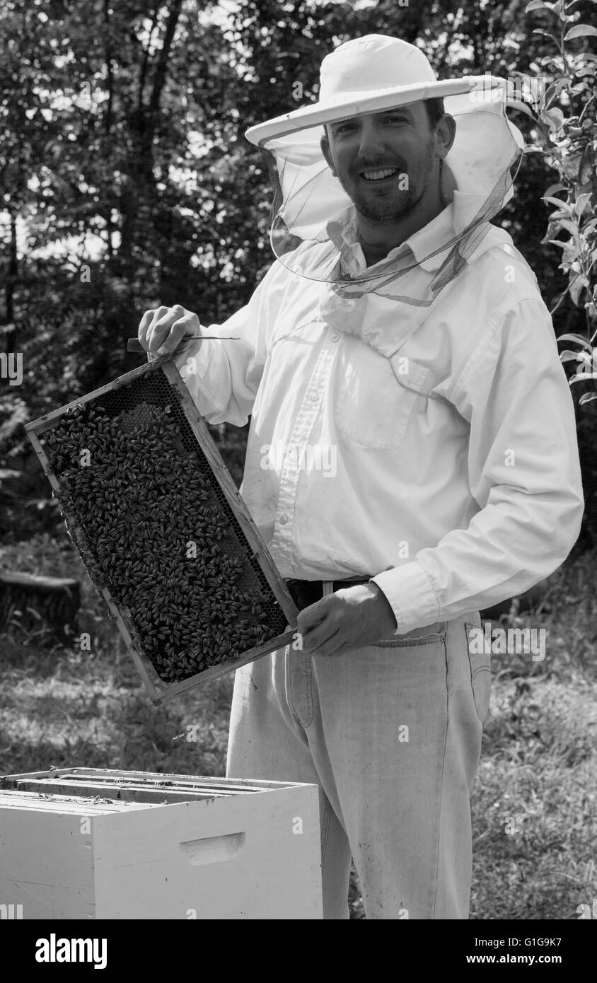 Jeune apiculteur en souriant et montrant sa colonie d'abeilles Banque D'Images