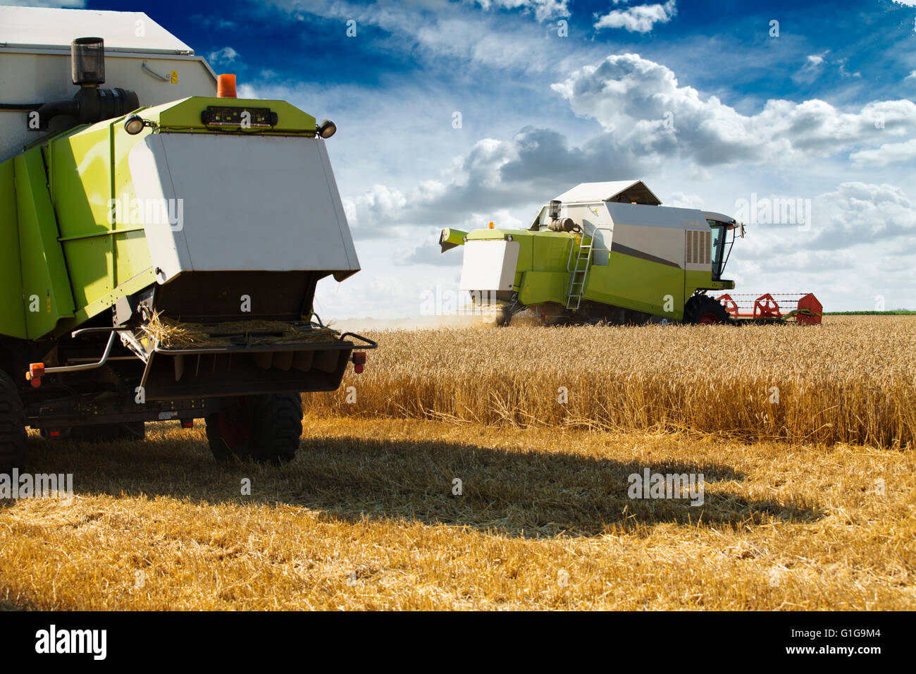 Moissonneuse batteuse en action sur le champ de blé Banque D'Images