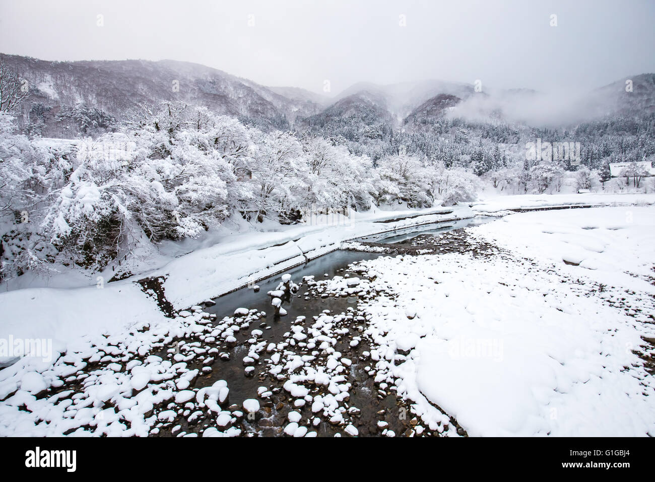 L'hiver à Shirakawa-go au Japon. Banque D'Images