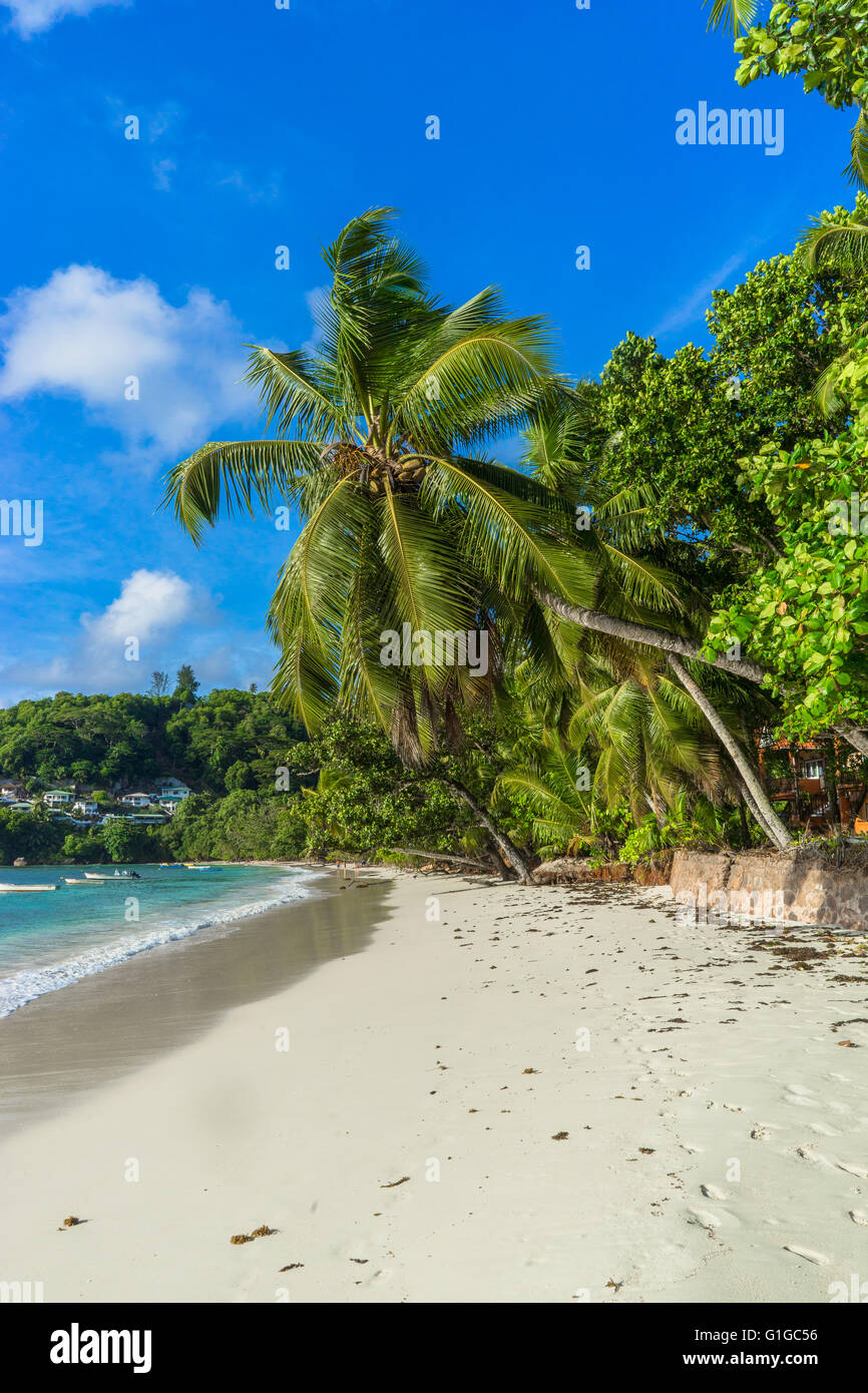 Belles plages de l'île des Seychelles Banque D'Images