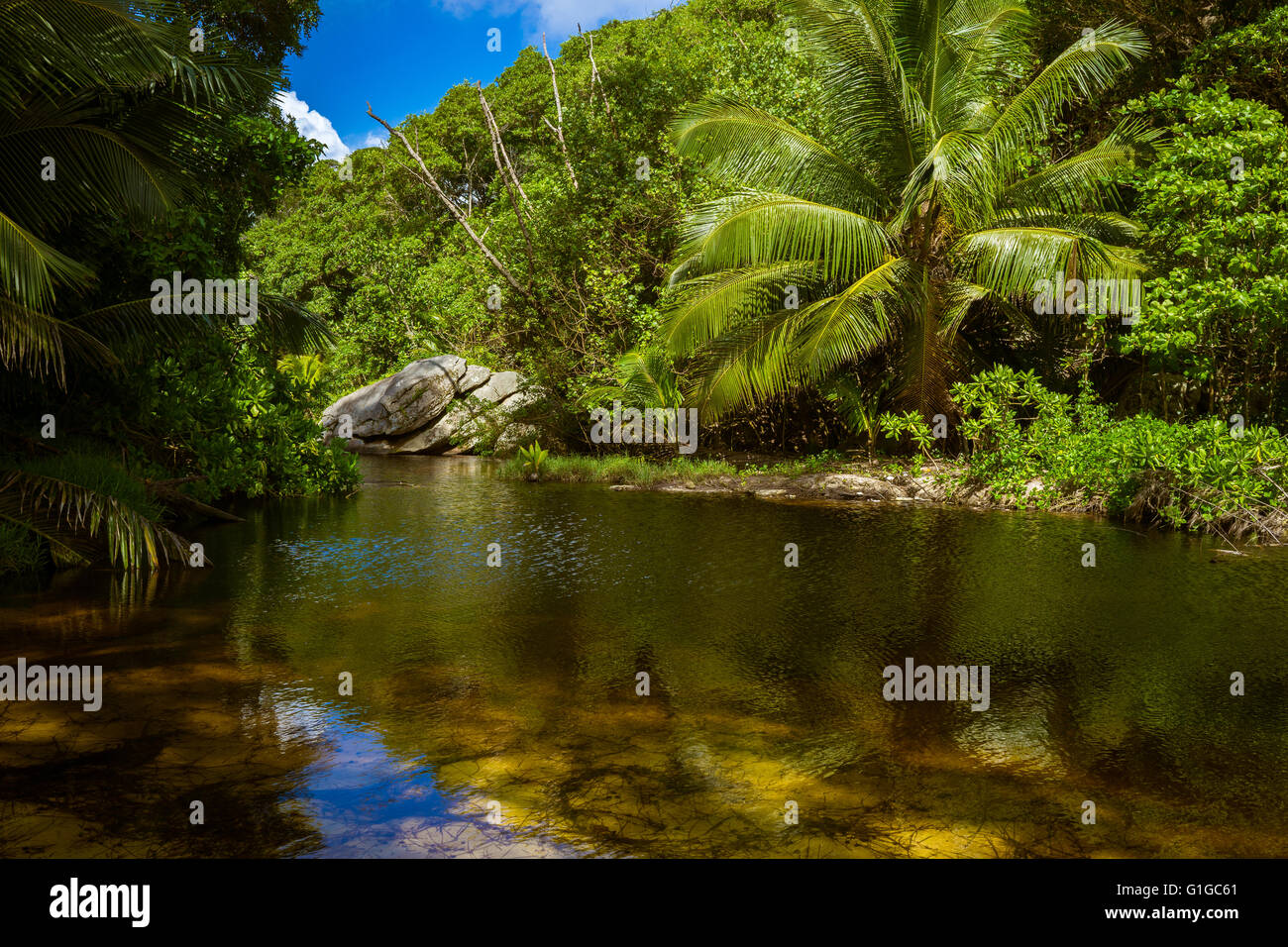 Marais à Anse Takamaka, Mahe, Seychelles Banque D'Images