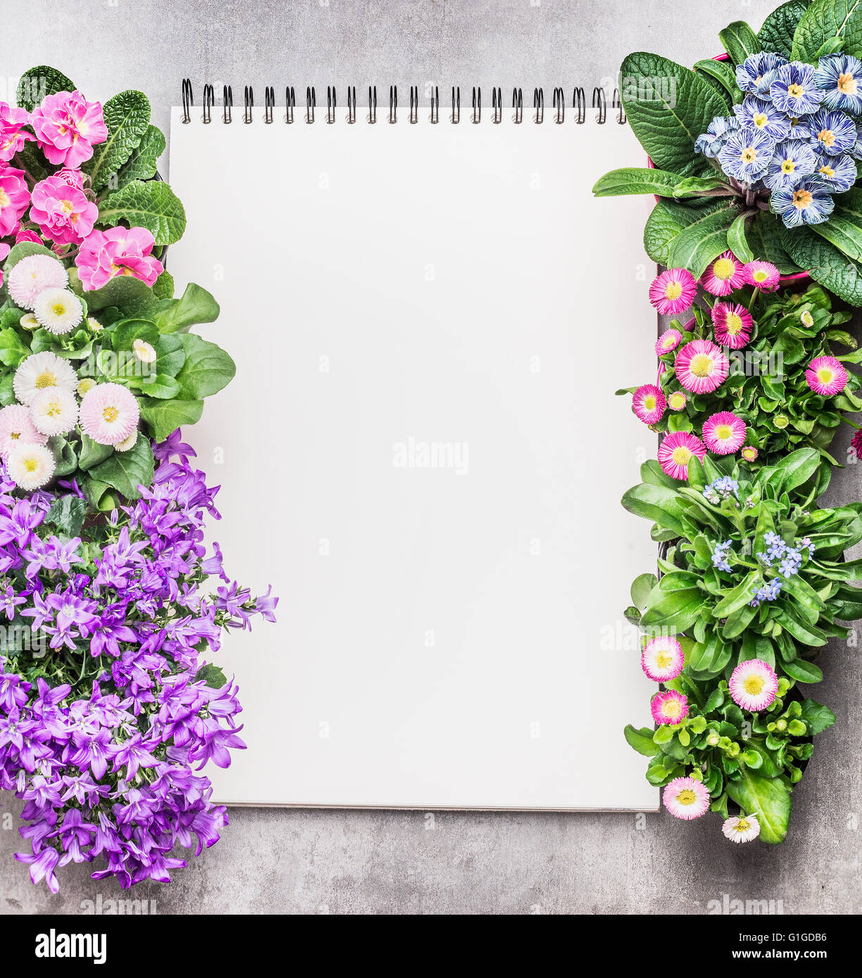 Ordinateur portable avec des fleurs de jardin en pots sur fond de pierre, vue du dessus. Image jardinage Banque D'Images