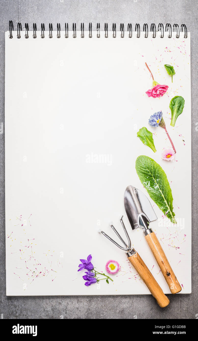 Jardin avec fleurs et pétales blanc sur ordinateur portable. Arrière-plan de jardinage. Banque D'Images