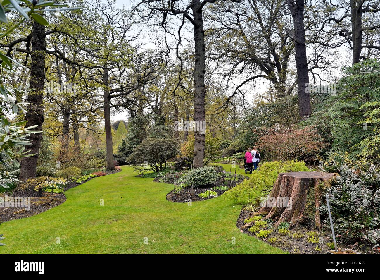 Le Savill Gardens Windsor Great Park Surrey UK Banque D'Images